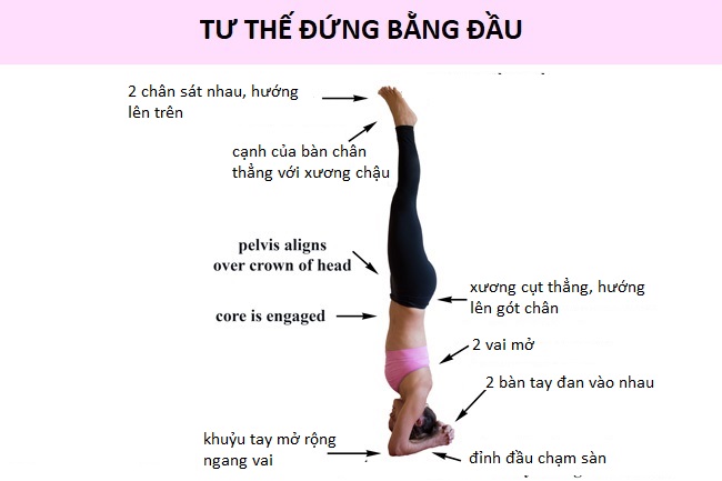tu-the-dung-bang-dau-yogalovers-1