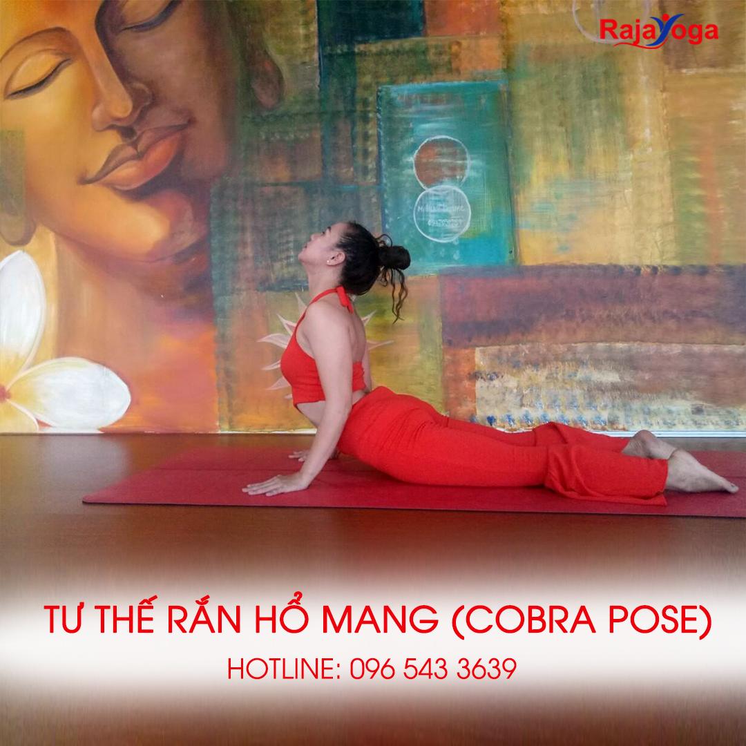 NHỮNG TƯ THẾ YOGA CƠ BẢN - Raja Yoga Việt Nam