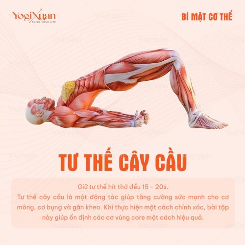 6 Bài tập yoga mở lưng trên hiệu quả
