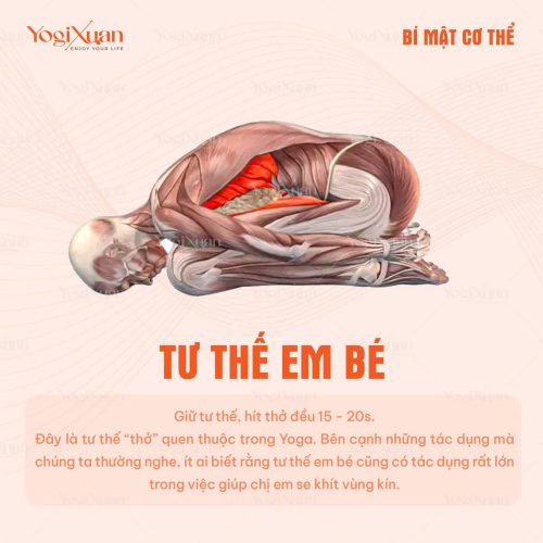 5 bài tập yoga cơ bản hiệu quả