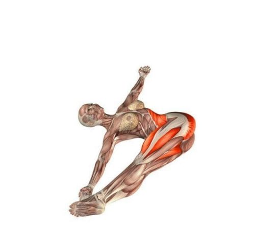 5 bài tập yoga trên giường cho người cao tuổi