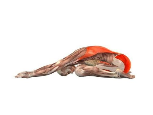 5 bài tập yoga trên giường cho người cao tuổi