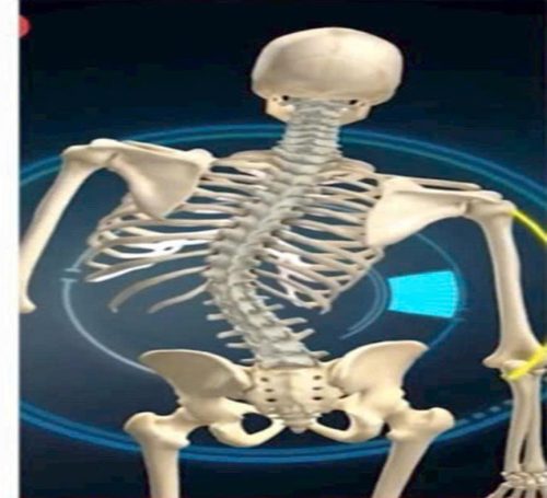 Yoga Giúp Cải Thiện Tư Thế Cho Trẻ