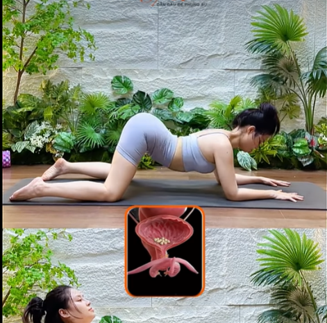 Tư thế Con Mèo – Con Bò (Cat-Cow Stretch)