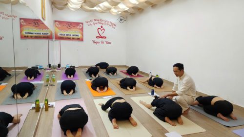 HLV Yoga Vữ Việt Đức