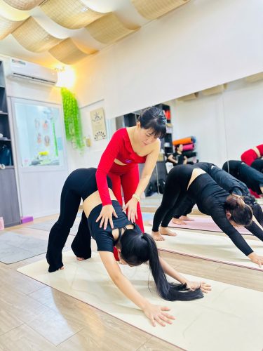 Đại sứ Yoga thân thiện lan tỏa an yên 2025