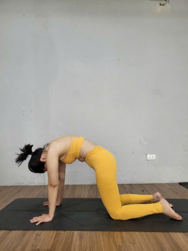 30 phút Bài Tập Yoga Trị Liệu Tắc Tia Sữa